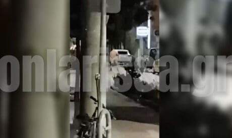 Γυμνός Λάρισα