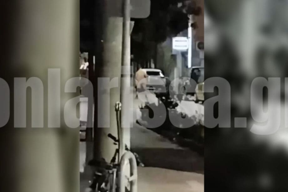 Γυμνός Λάρισα