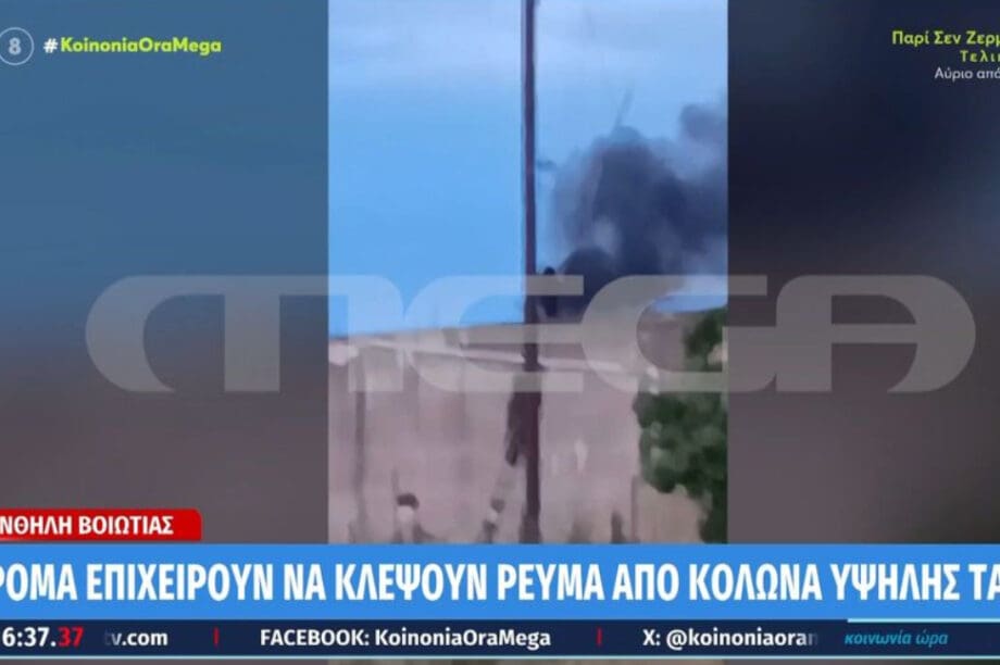 Καλώδια Ρομά Βοιωτία