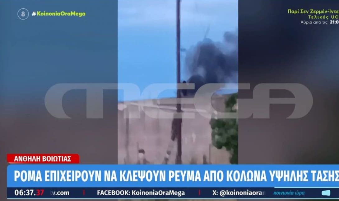 Καλώδια Ρομά Βοιωτία