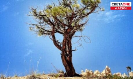 λειψυδρία Λασίθι