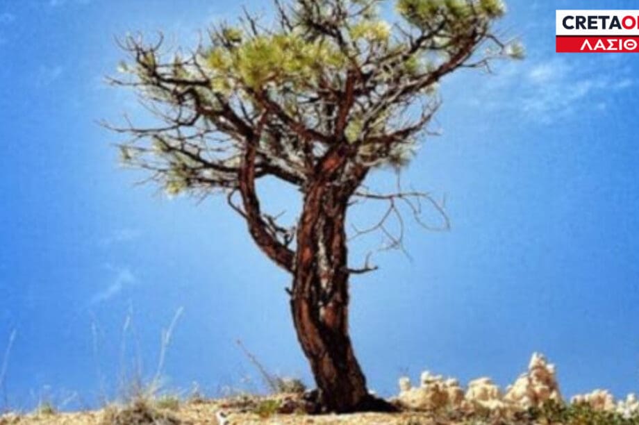 λειψυδρία Λασίθι