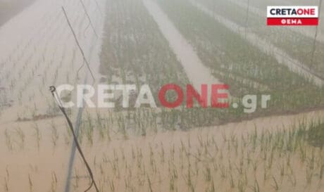 Οροπέδιο Λασιθίου