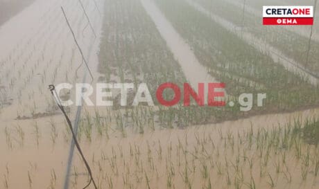 Οροπέδιο καταστροφές