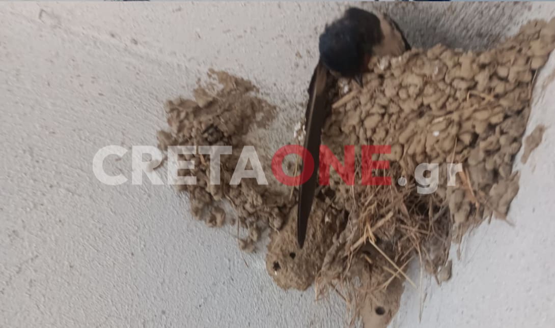 καταστροφές Οροπέδιο Λασιθίου