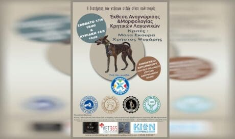 κρητικών λαγωνικών