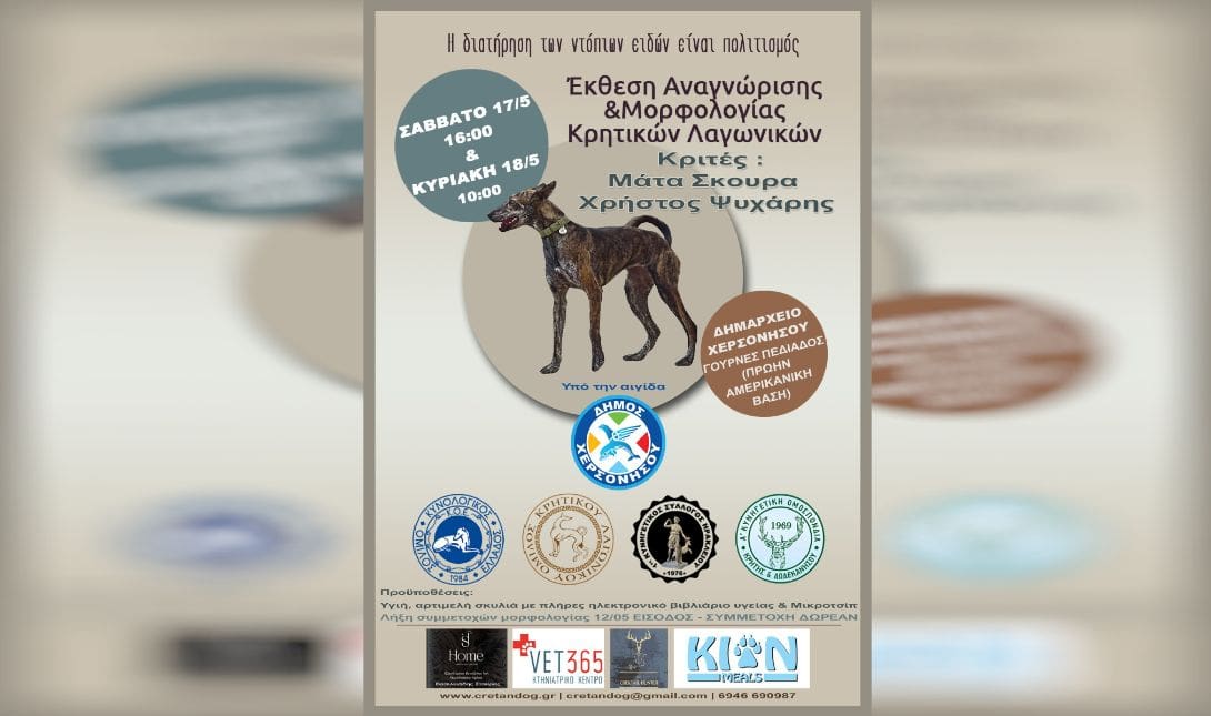 κρητικών λαγωνικών