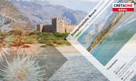 Κρήτη - Τσίμπημα θαλάσσιας ανεμώνης: Τα περιστατικά κρούουν τον κώδωνα του κινδύνου για ενημέρωση