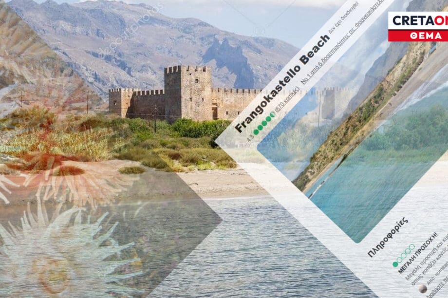 Κρήτη - Τσίμπημα θαλάσσιας ανεμώνης: Τα περιστατικά κρούουν τον κώδωνα του κινδύνου για ενημέρωση