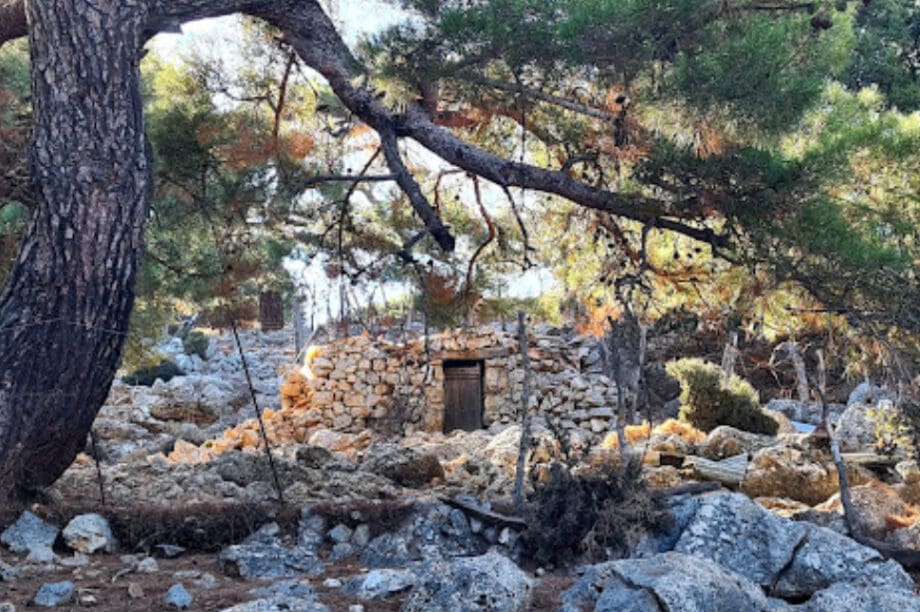Ορειβατικός Σύλλογος Αγίου Νικολάου: Απογευματινή πεζοπορία στο ιστορικό δάσος του Κρούστα