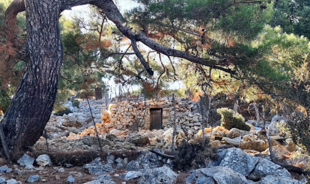 Ορειβατικός Σύλλογος Αγίου Νικολάου: Απογευματινή πεζοπορία στο ιστορικό δάσος του Κρούστα