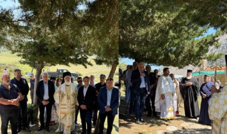 Δήμος Βιάννου