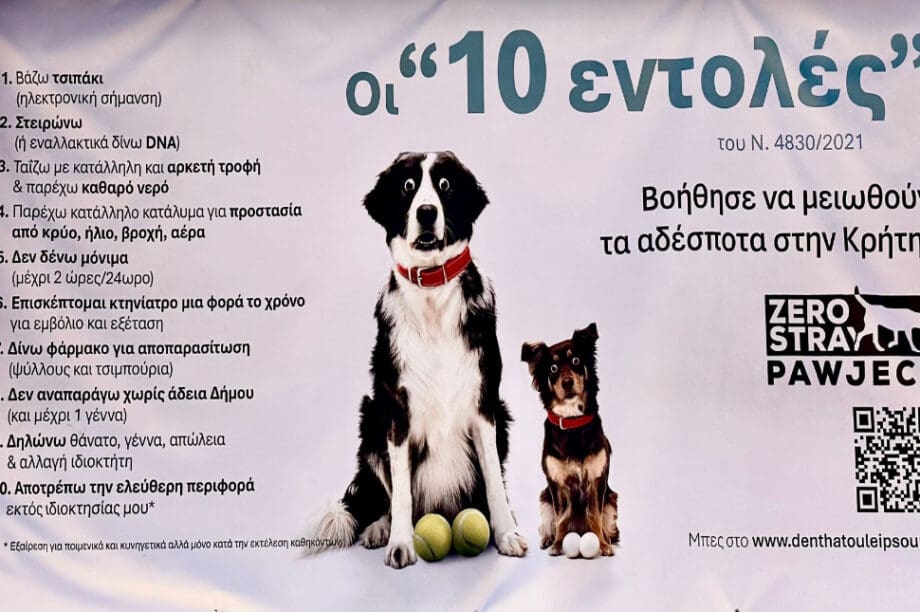 Δήμος Μαλεβιζίου στειρώσεις