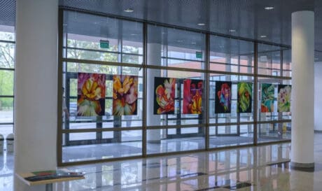 Πολιτιστικός Σύλλογος Φόδελε: Φιλοξενεί έκθεση
