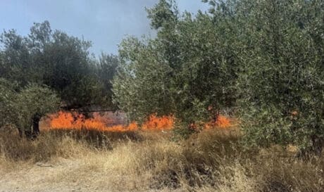 Φωτιά Μεσαρά