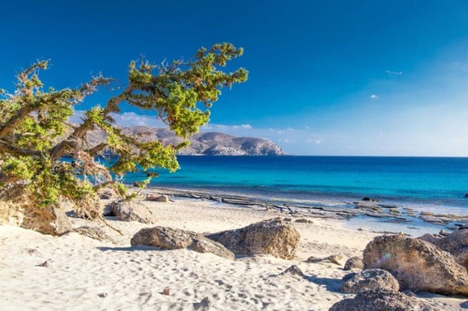 Κεδρόδασος
