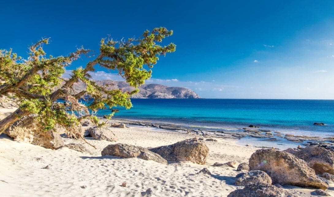 Κεδρόδασος
