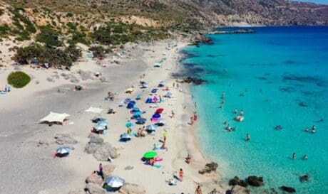 Κεδρόδασος