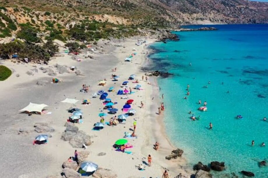 Κεδρόδασος