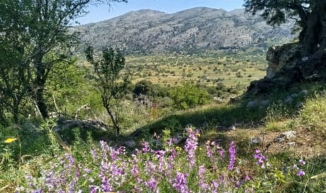 Ορειβατικός Σύλλογος Αγίου Νικολάου