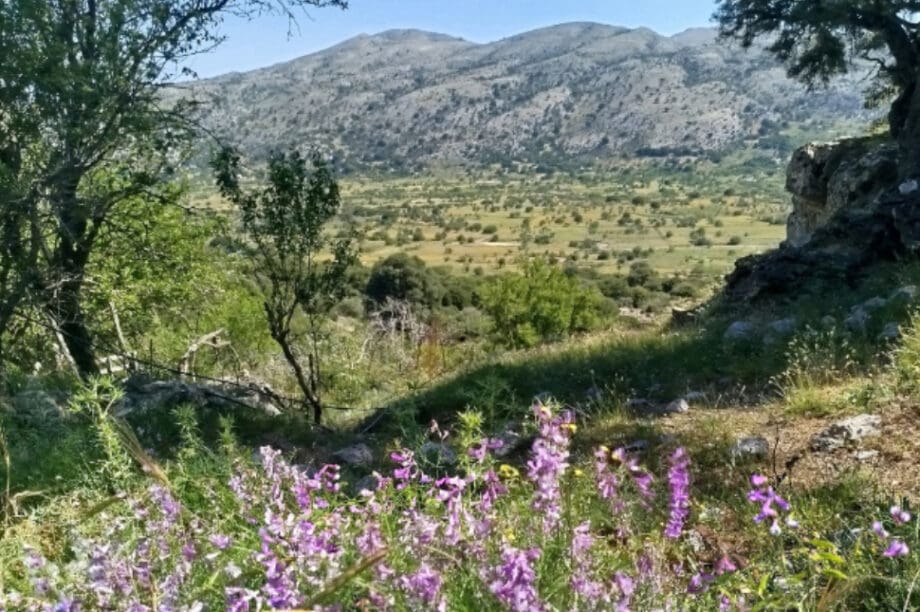 Ορειβατικός Σύλλογος Αγίου Νικολάου