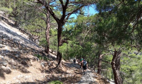 Oρειβατικός Σύλλογος Αγίου Νικολάου