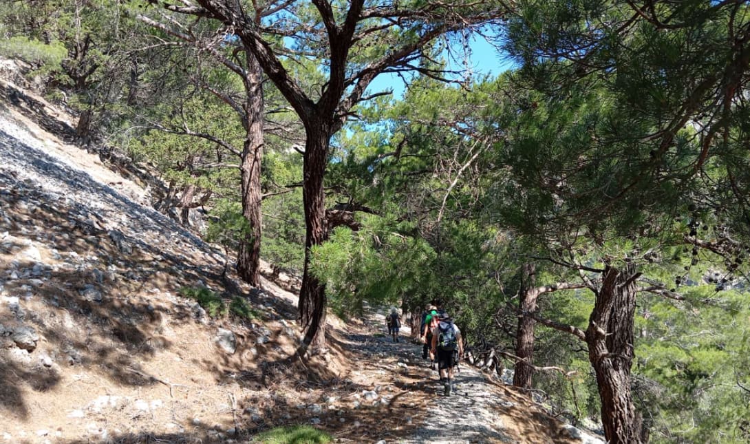 Oρειβατικός Σύλλογος Αγίου Νικολάου