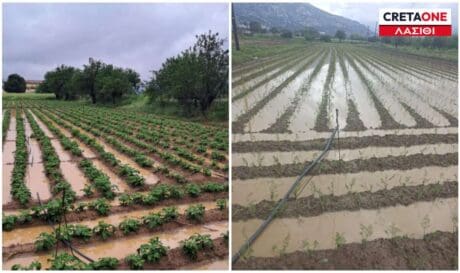 Οροπέδιο Λασιθίου ζημιές
