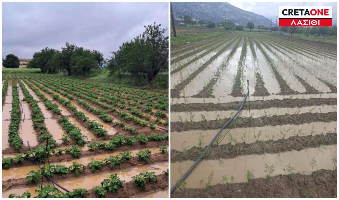 Οροπέδιο Λασιθίου ζημιές