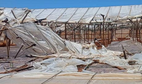 Τεράστιες καταστροφές στα θερμοκήπια από τους δυνατούς ανέμους στην Κρήτη (φωτο)