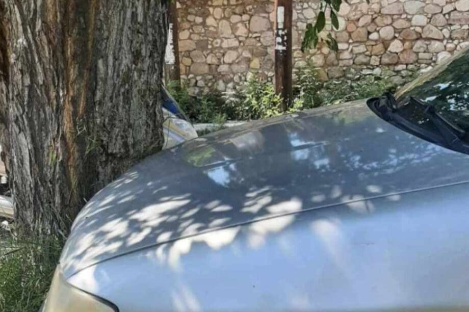 Τροχαίο Πάτρα δέντρο