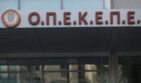 ΟΠΕΚΕΠΕ