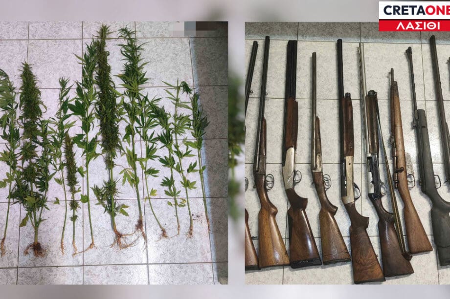 Όπλα δενδρύλλια χασίς Λασίθι