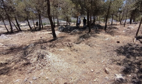 Αντιπυρική ζώνη Χερσόνησος