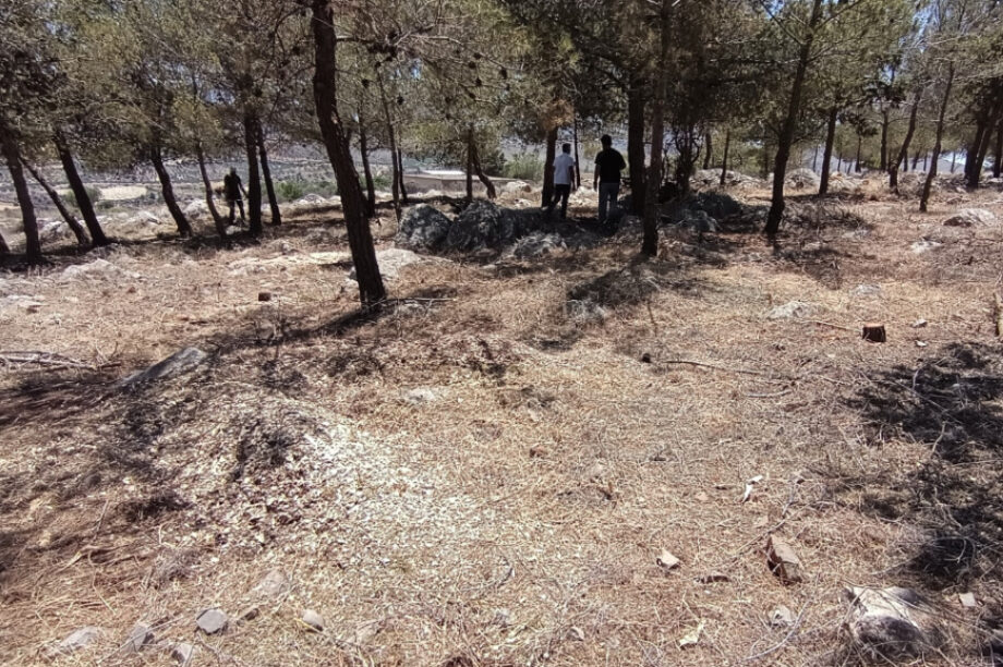 Αντιπυρική ζώνη Χερσόνησος