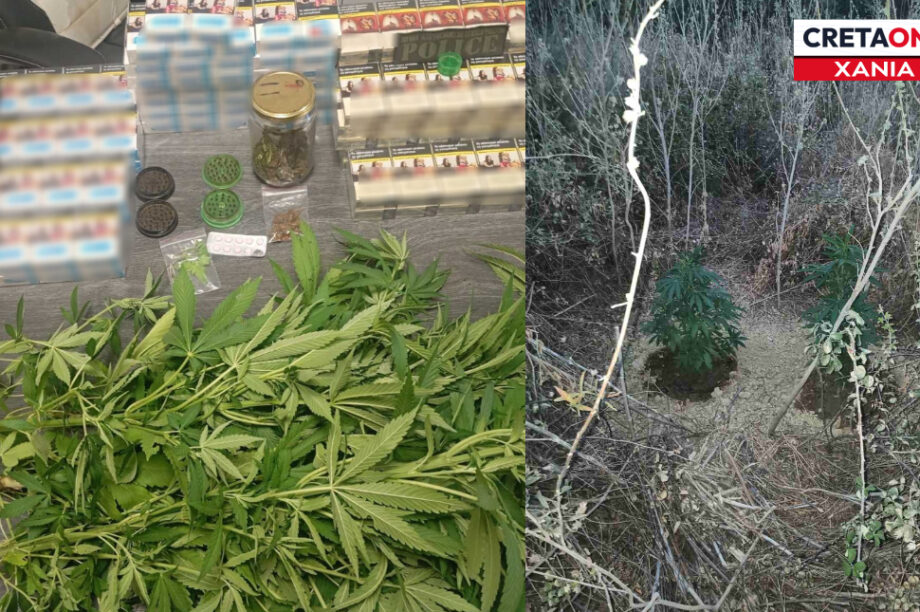 Κάνναβη χανια
