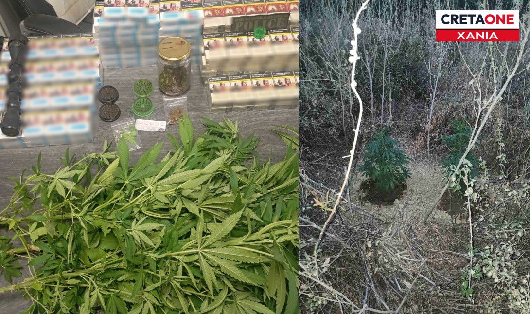 Κάνναβη χανια