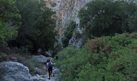 Ο Ορειβατικός σύλλογος Αγίου Νικολάου πραγματοποίησε πεζοπορία στο φαράγγι της Κριτσάς