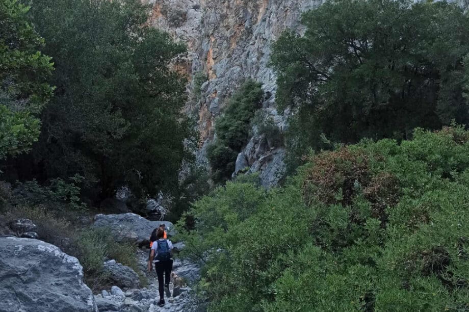 Ο Ορειβατικός σύλλογος Αγίου Νικολάου πραγματοποίησε πεζοπορία στο φαράγγι της Κριτσάς