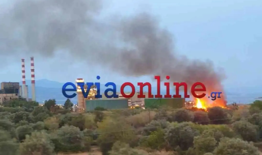 Εύβοια: Συναγερμός για φωτιά δίπλα από το εργοστάσιο της ΔΕΗ (βίντεο)