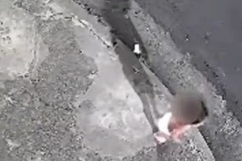 Μωρό Βραζιλία