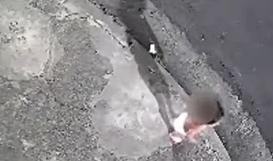 Μωρό Βραζιλία