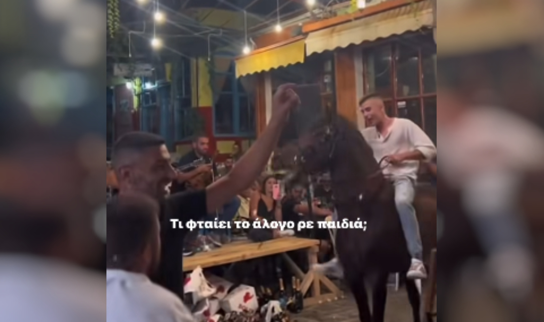 Οργή στη Λέσβο: Αναγκάζουν άλογο να «χορέψει» σε γλέντι – Δείτε το εξοργιστικό βίντεο