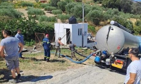 Δαφνές νεκρός