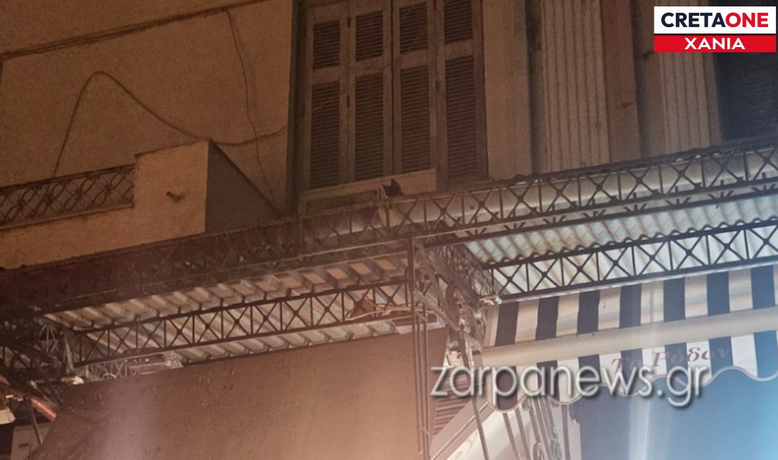 Χανιά: Γατάκι διασώθηκε στην πλατεία 1866 – Δείτε φωτογραφίες