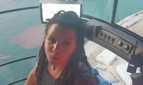γερανός TikTok