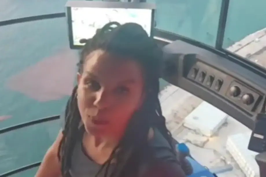 γερανός TikTok