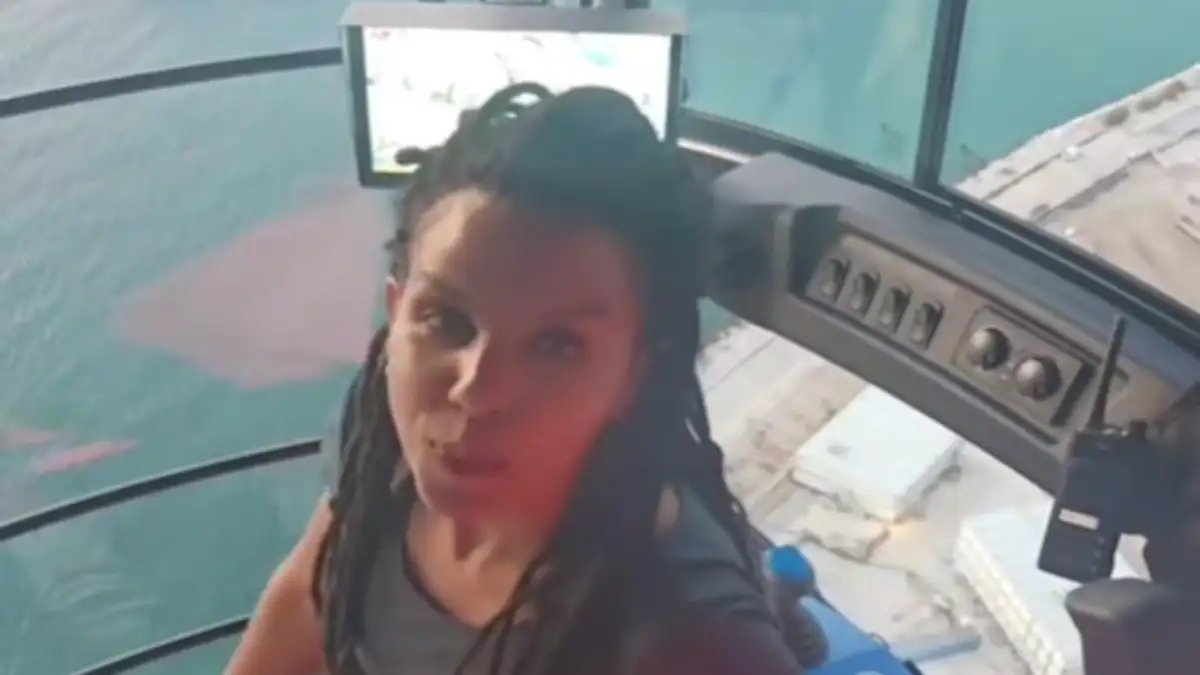 γερανός TikTok