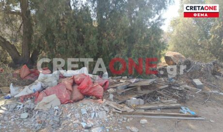 Καρτερός μπάζα σκουπίδια και νεκρά ζώα