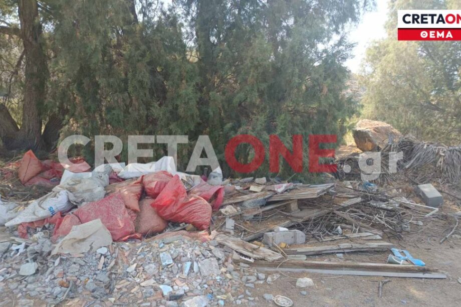 Καρτερός μπάζα σκουπίδια και νεκρά ζώα